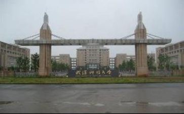 高校教师年工作总结6篇