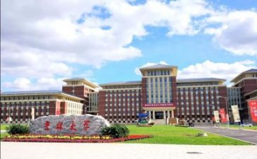 工作总结2022高校教师7篇