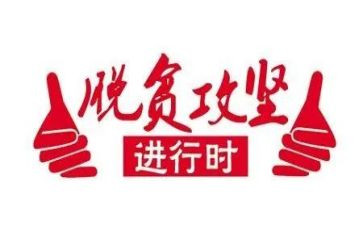 脱贫攻坚年度工作总结范文7篇