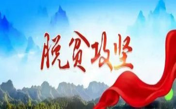 2023年脱贫攻坚帮扶工作总结7篇