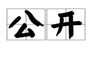 公开日工作总结通用8篇
