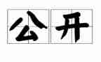 公开日工作总结通用8篇