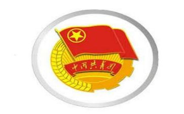 共青团员2024年个人总结6篇