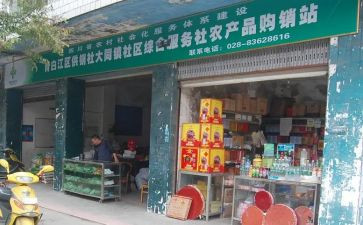供销社个人总结8篇