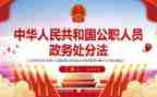 公职律师工作总结5篇