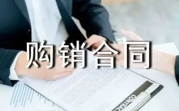 采购销售工作总结范文6篇