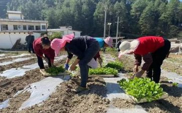 工程材料购销合同5篇