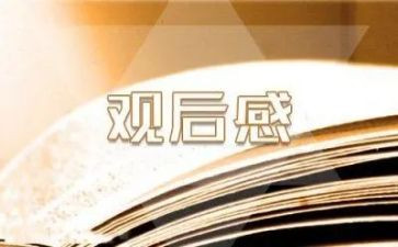 《粮食》观后感8篇