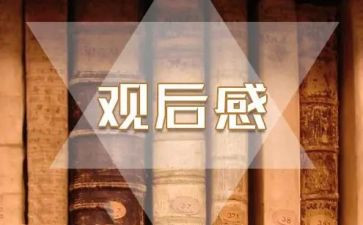 培训观后感5篇