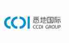 国际志愿日活动方案8篇