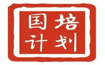 国培计划个人研修总结范文5篇