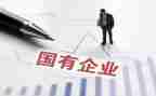 国企自我鉴定6篇