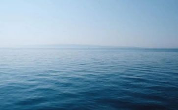 深海观后感通用8篇