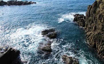 海莲个人总结8篇
