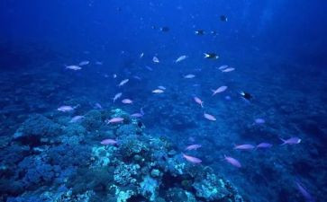 海底两万里读后感6篇