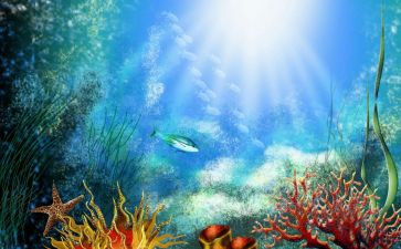 海底两万里读后感优秀5篇