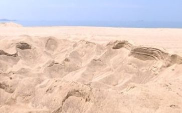 海砂工作总结范文精选5篇