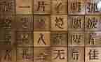 汉字的活动总结7篇