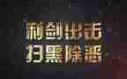 幼儿园除黑恶活动总结5篇