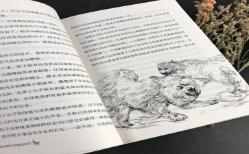 黑焰读书心得最新6篇