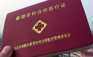 乡镇合疗工作总结推荐5篇
