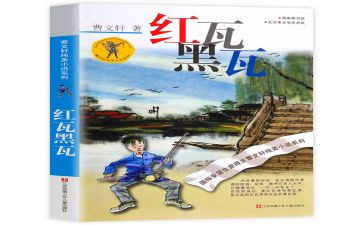 红瓦黑瓦读后感7篇