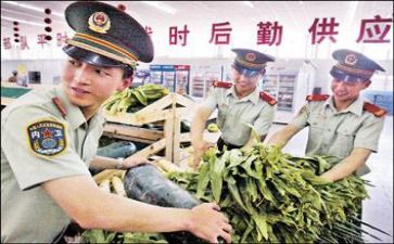 个人后勤工作总结范文8篇