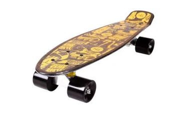 我的滑板鞋的作文8篇