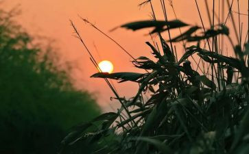 让我怀念的作文最新5篇