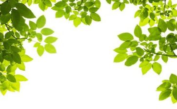 查环保工作总结优秀5篇