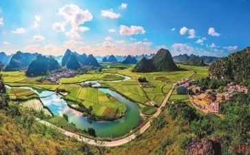 环境的教案最新8篇