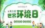 观世界环境日活动总结7篇
