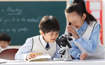 幼儿园小班活动课教案5篇