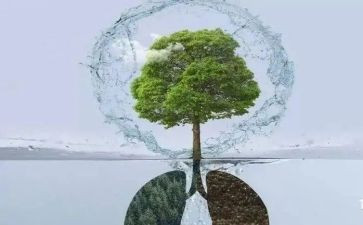 呼吸科的年终总结5篇
