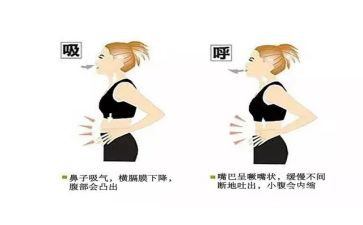 呼吸个人总结8篇