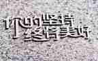 坚持的作文500字优质8篇