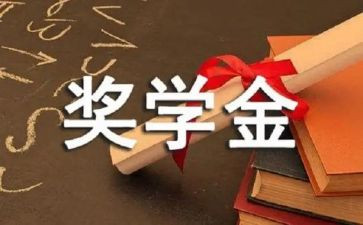 医学生奖学金个人总结8篇