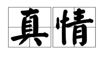 有关真情的作文通用6篇