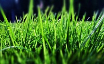 卫生院2022年健康教育工作计划6篇