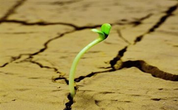 告诉你我很坚强作文6篇