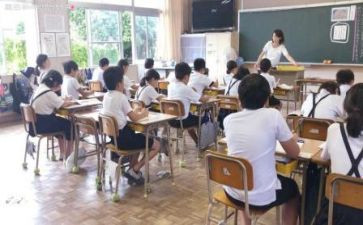 见习年工作总结6篇