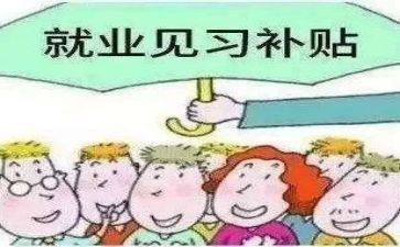 教师见习期培训总结6篇