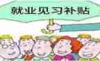 教师见习期培训总结6篇