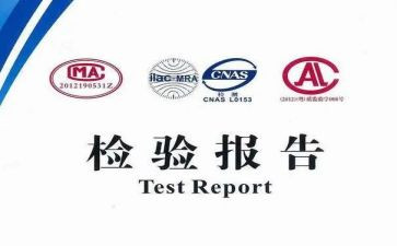 检验试个人总结7篇