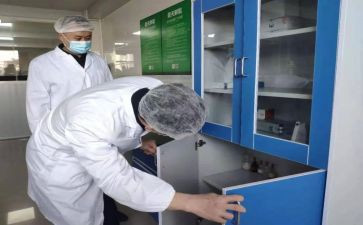 检验个人总结8篇