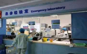 检验室个人工作总结8篇