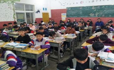 教师实习体会与总结8篇