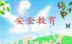 教师个人教育安全总结5篇