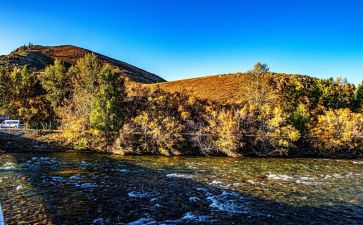 我的假日作文7篇