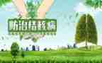 结核病防治工作计划7篇